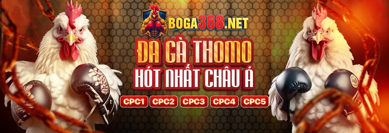 Đá gà trực tuyến kịch tính trên ax88 app android
